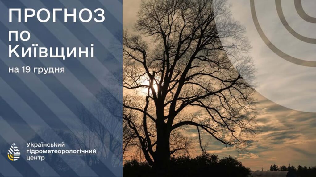 Київ 19 грудня: хмарно, без опадів, вранці туман