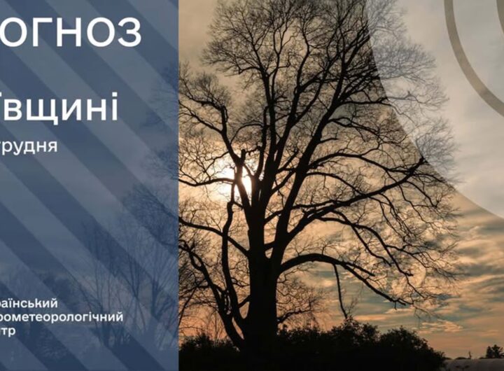 Київ 19 грудня: хмарно, без опадів, вранці туман