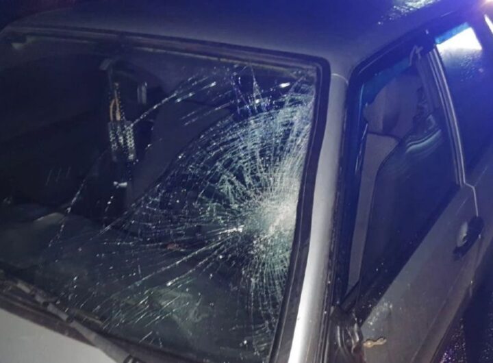 "Трагічна аварія на Київщині: нетверезий пішохід загинув під колесами автомобіля, намагаючись перебігти дорогу".