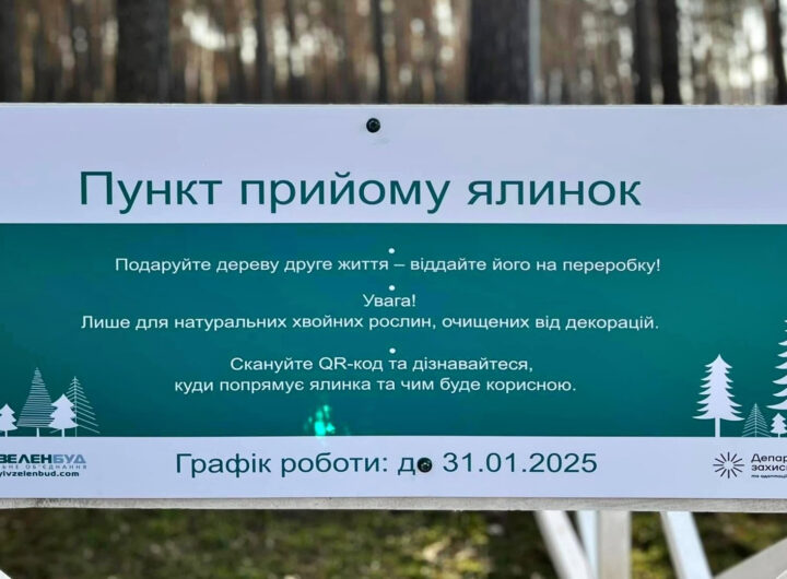 78 пунктів прийому ялинок у Києві працюватимуть до 31 січня: де знайти, як здати та що отримати натомість