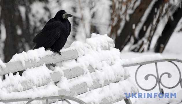 Метаморфози температури: Україна від 14° морозу до 9° тепла, подекуди - сніговий коктейль