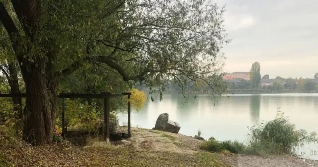 Перемога для громади Київщини: повернуто Саливонківське водосховище площею 220 гектарів