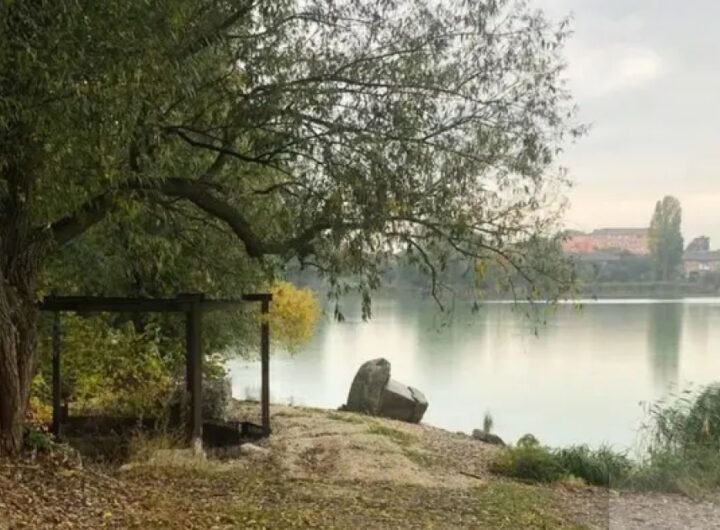 Перемога для громади Київщини: повернуто Саливонківське водосховище площею 220 гектарів