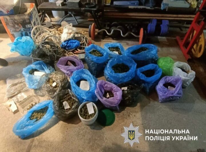 Інтернет-замовлення коноплі призвело до масштабного врожаю на Обухівщині: чоловік продав 14 кг канабісу