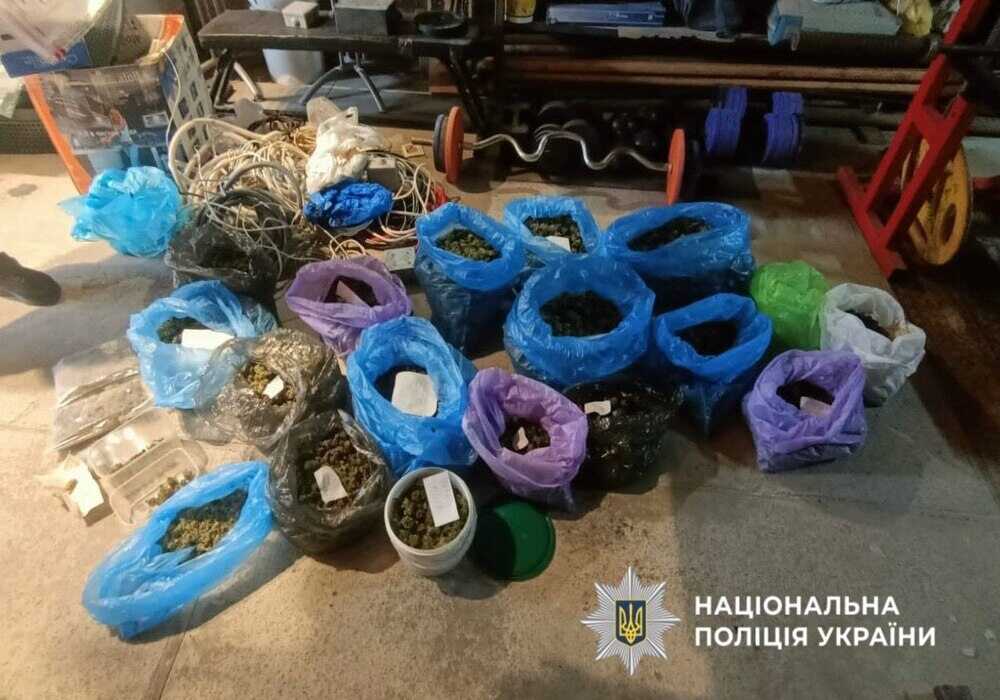 Інтернет-замовлення коноплі призвело до масштабного врожаю на Обухівщині: чоловік продав 14 кг канабісу