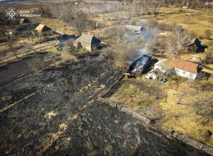 Подружжя на Вишгородщині випадково спалило сусідський сарай під час облаштування власного садка