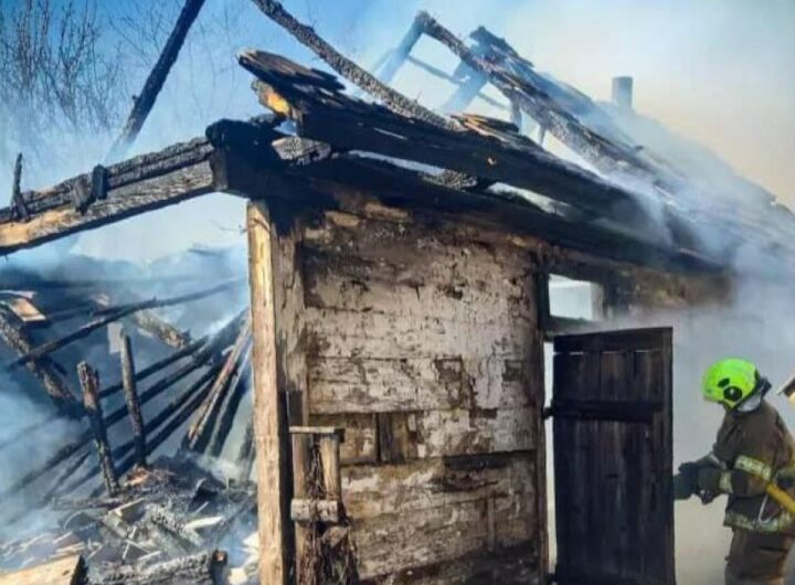 Подружжя спалило пів гектара землі та сусідський сарай на Київщині