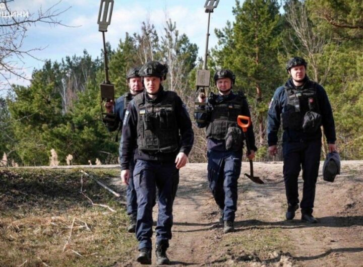 Понад 44 тисячі гектарів під контролем: на Київщині перевіряють небезпечні території через міни