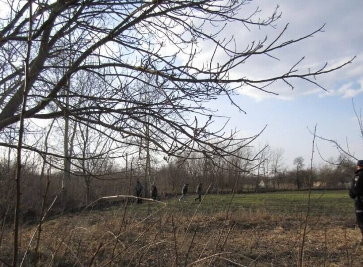 Трагедія в Київській області: чоловік загинув у пожежі під час спалювання трави на власному подвір'ї