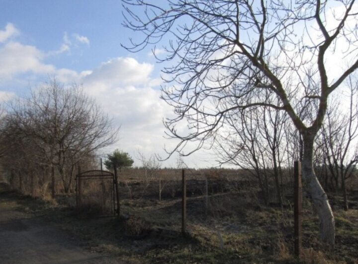 Трагічний випадок у Ясногородці: чоловік загинув під час паління сухостою