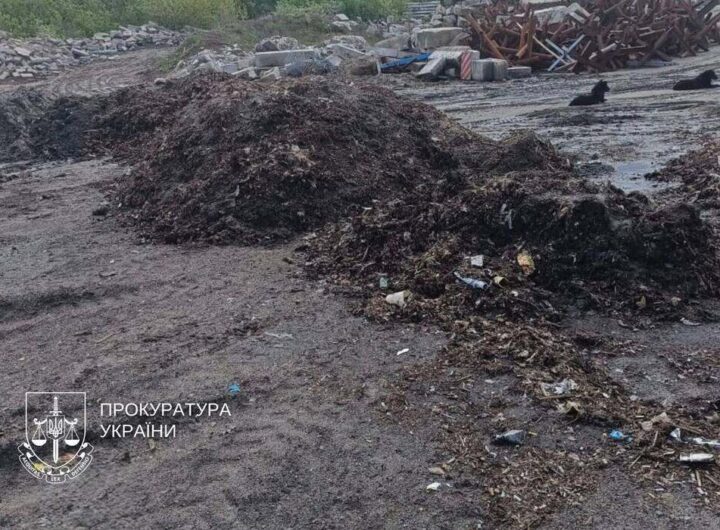 Верховний Суд зобов'язав комунальників прибрати 8 гектарів сміття у «Балці Проня» - столичному парку, перетвореному на масштабне звалище
