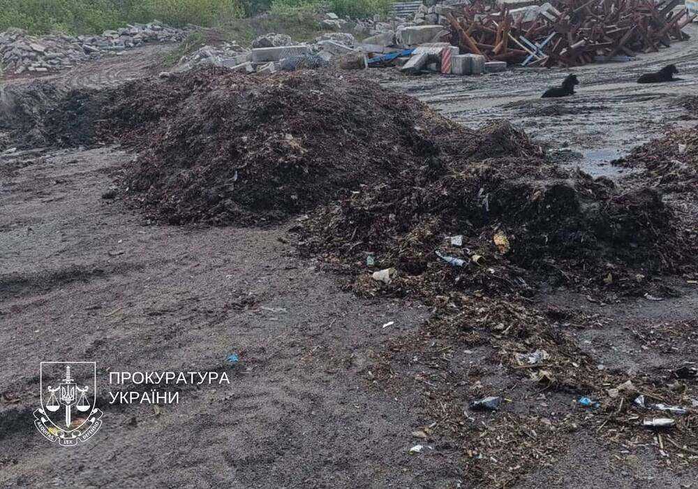 Верховний Суд зобов'язав комунальників прибрати 8 гектарів сміття у «Балці Проня» - столичному парку, перетвореному на масштабне звалище